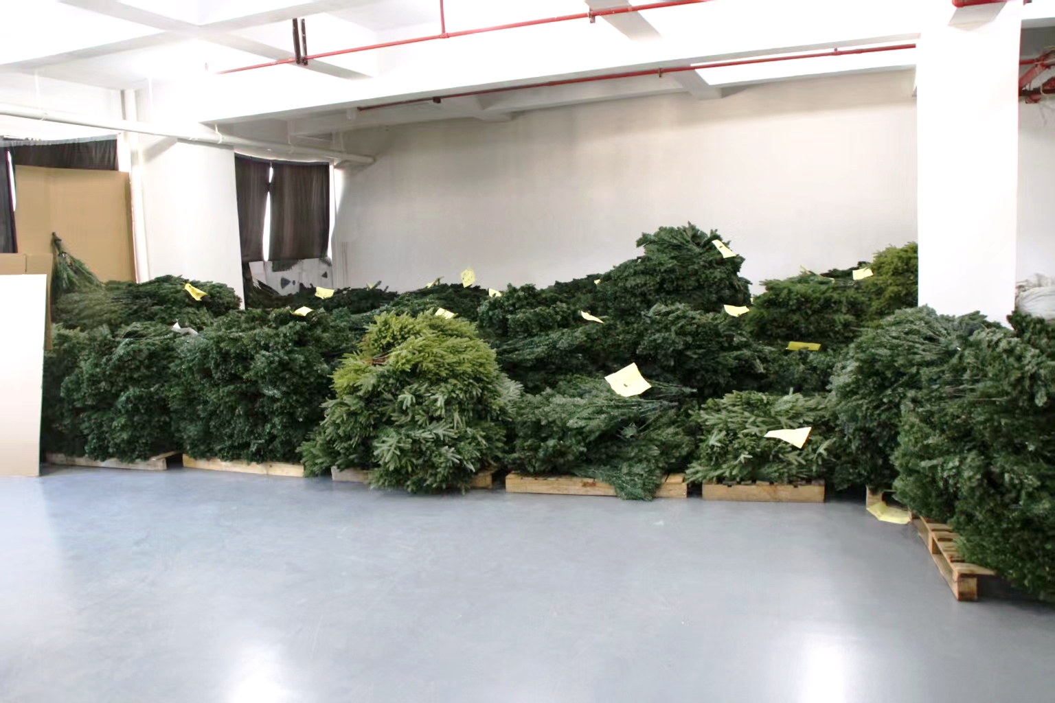 Warehouse & Shipping