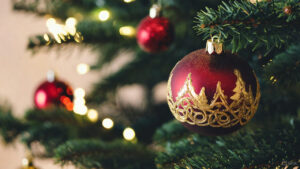 AUDIT for Excellence: Discern the Best Artificial Tree Vendors