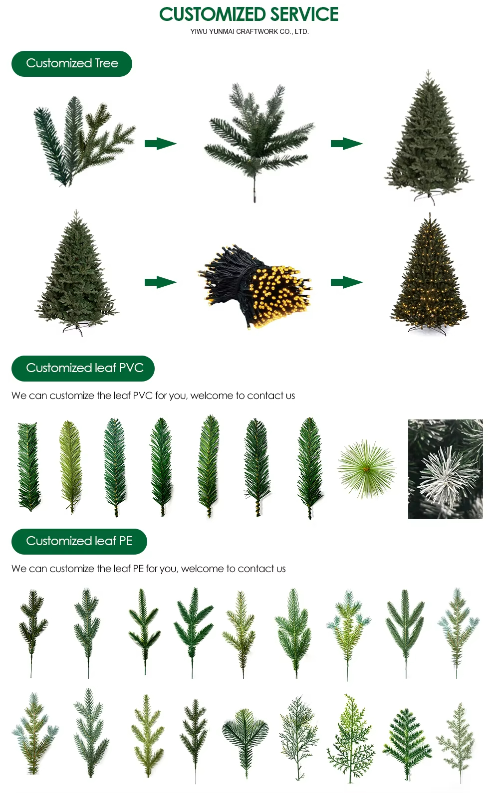 Customization Option 3